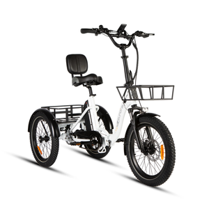 EUNORAU One Trike 2.0