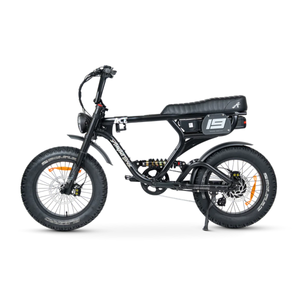ACE-X PRO Electric Bike - ACE Series 5