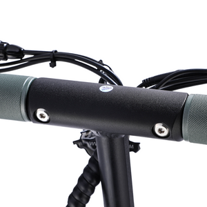 VSETT 8+ ELECTRIC SCOOTER