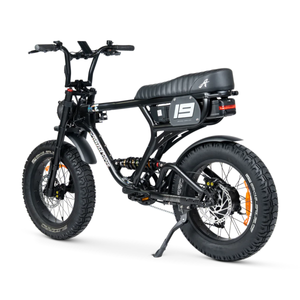 ACE-X PRO Electric Bike - ACE Series 5