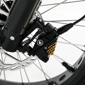 The Bagus V3 Ultra eBike