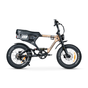 ACE-X PRO Electric Bike - ACE Series 5