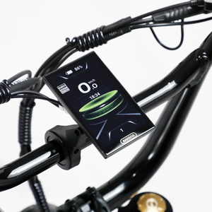The Bagus V3 Ultra eBike
