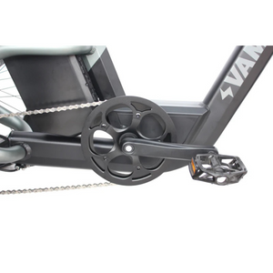 Papa Grande Pro 2024 - 3 Wheel E-Trike