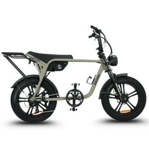 Fatfish Biggie 20AH Fat Tyre E-Bike