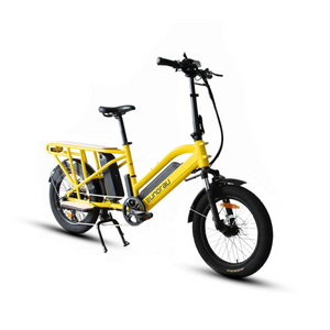 G30 Fat Tyre Cargo E-Bike