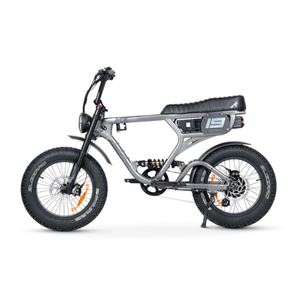 ACE-X PRO Electric Bike - ACE Series 5