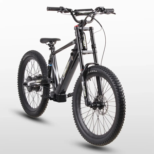 GoBike 24 Inch Electric Bike for Teens – High Speed Performance for Ages 13+