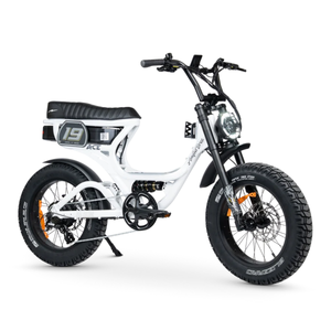 ACE PRO Electric Bike Step Through - Series 5