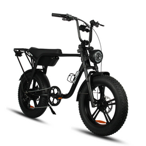Fatfish Biggie 20AH Fat Tyre E-Bike