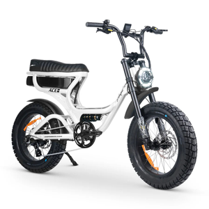 ACE-S PRO Electric Bike