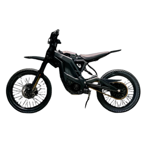 E RIDE PRO SS 3.0
