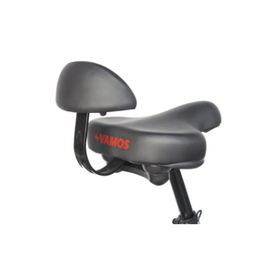 Papa Grande Pro 2024 - 3 Wheel E-Trike