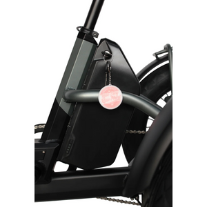 Papa Grande Pro 2024 - 3 Wheel E-Trike