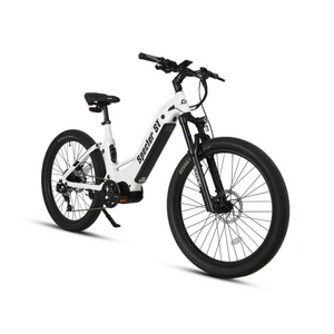 SPECTER-ST 48v 1000w Mid-Drive