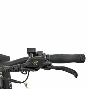 TEVERUN Fighter Mini Eco Electric Scooter 2024 Edition