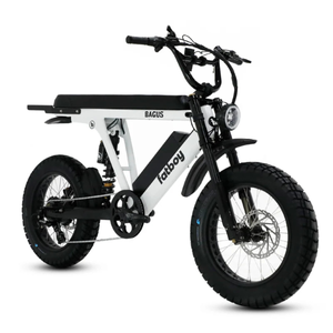 The Bagus V3 Ultra eBike