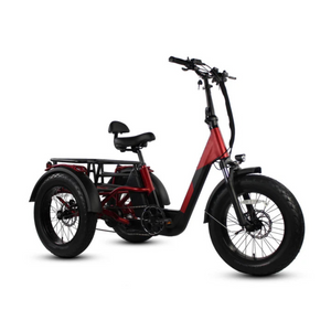 Papa Grande Pro 2024 - 3 Wheel E-Trike