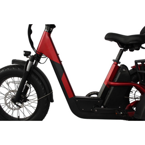 Papa Grande Pro 2024 - 3 Wheel E-Trike