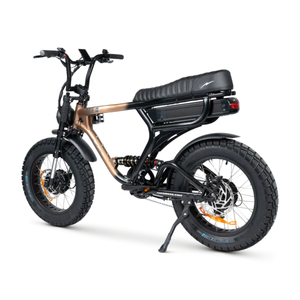 ACE-X Demon Dual Electric Bike