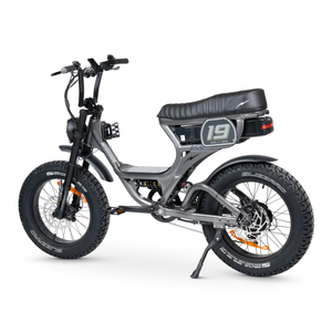 ACE PRO Electric Bike Step Through - Series 5