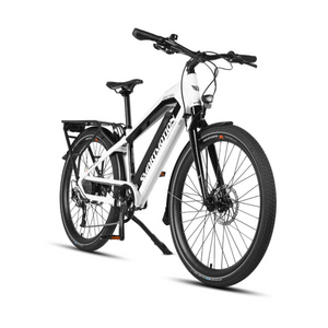 Smartmotion Pacer 250W 48V Electric Bike