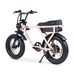 ACE-X Plus+ Electric Bike