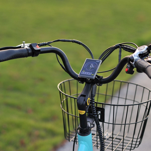 Gekko E-Trike 36V/15Ah 250W