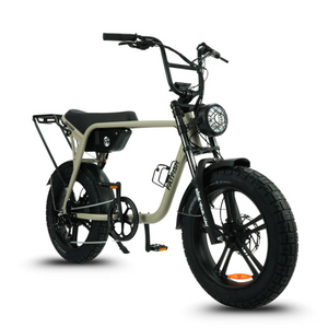 Fatfish Biggie 20AH Fat Tyre E-Bike