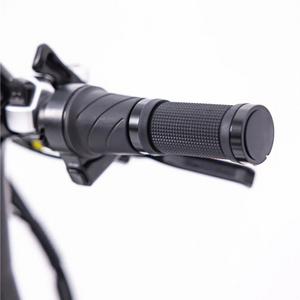 The Scrambler V2 eBike