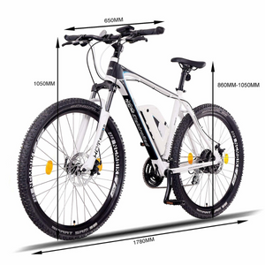 NCM Prague 250w Electric Bike