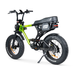 ACE-X PRO Electric Bike - ACE Series 5
