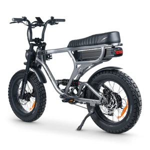 ACE-X PRO Electric Bike