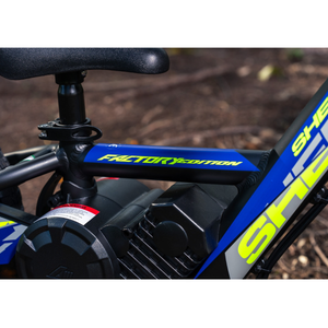 Next-Generation SHERCO EB12 Factory