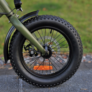 Skink E-Trike Low-Step 48V/15Ah 250W