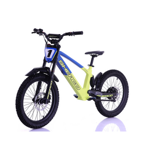 SHERCO EB20 FACTORY EDITION