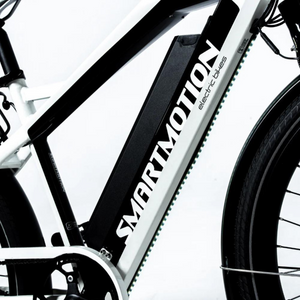 Smartmotion Pacer 250W 48V Electric Bike