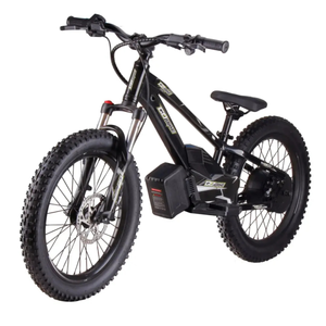 GoBike 20 Inch Electric Bike for Kids & Teens –For Ages 9–16