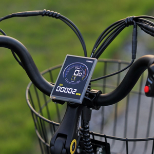 Gekko E-Trike 36V/15Ah 250W