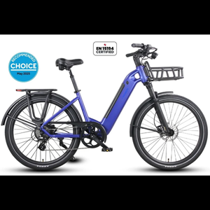 Rapido 2026 - Daily Commuter E-Bike