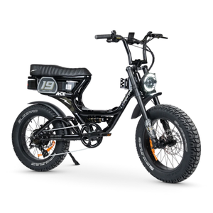 ACE PRO Electric Bike Step Through - Series 5