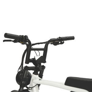 Fatfish OG 2.0 Fat Tyre E-Bike