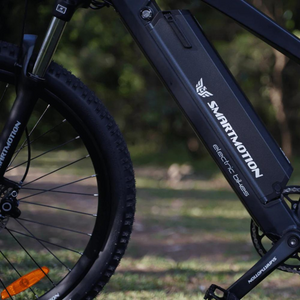 Smartmotion Catalyst 250W 48V Electric Mountain Bike