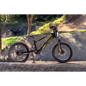 Azonic Flow 20inch Electric Balance Bike - Pre Order