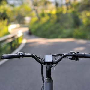 Komodo E-Trike 48V/15Ah Mid-Drive 250W