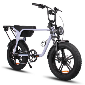 Fatfish Biggie 20AH Fat Tyre E-Bike
