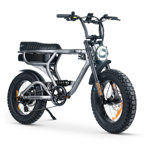 ACE-X PRO Electric Bike