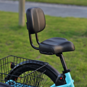 Gekko E-Trike 36V/15Ah 250W