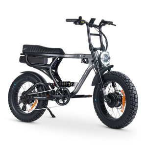 ACE-X Demon Dual Electric Bike
