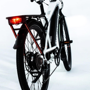 Smartmotion Pacer 250W 48V Electric Bike